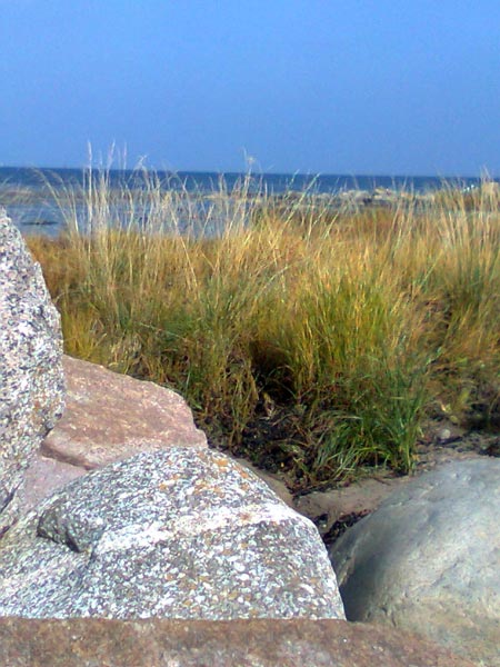 Strand på Bornholm